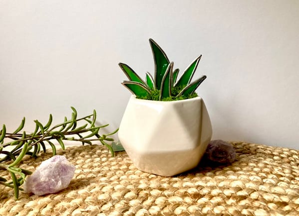 Stained Glass Aloe Plant in White Hexagon Planter Mountain Woman Products