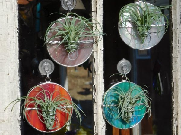 love suncatcher window hanging Birthday gift Mother/'s Day housewarming plant lover Stained Glass *Includes real air plant* Holder