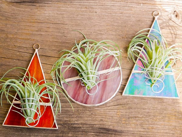 Stained glass air plant holders on wooden background