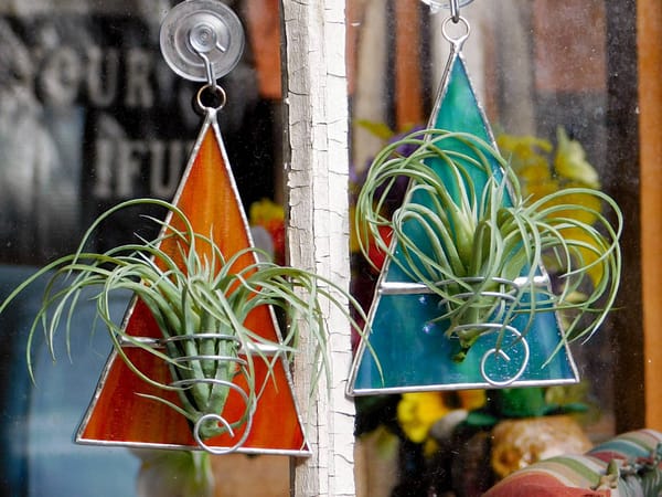 air plants in stained glass triangle holders