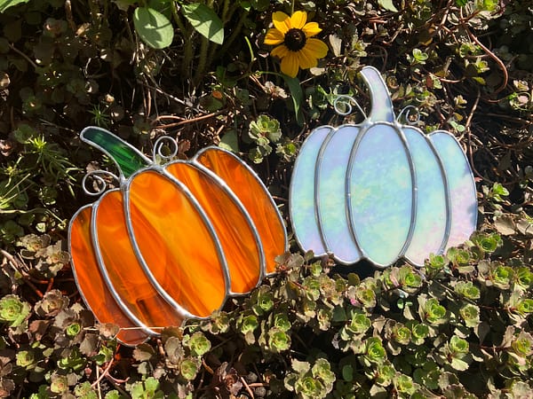 stained-glass-pumpkins-in-sedums-mountain-woman-products