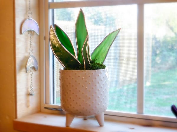 snake plant stained glass on windowsill with white crescent moon chain
