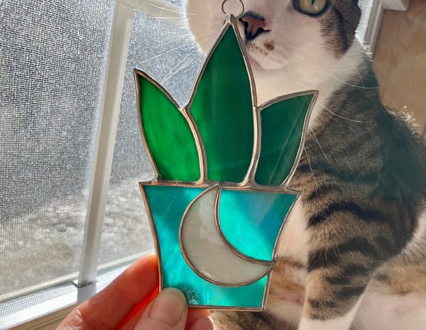 Stained Glass Aloe Plant with Crescent Moon and cat checking it out Mountain Woman Products